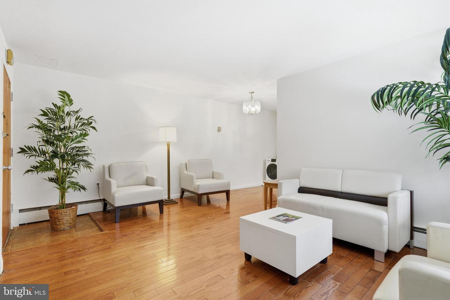 7738 Maple Ave #6 — photo
