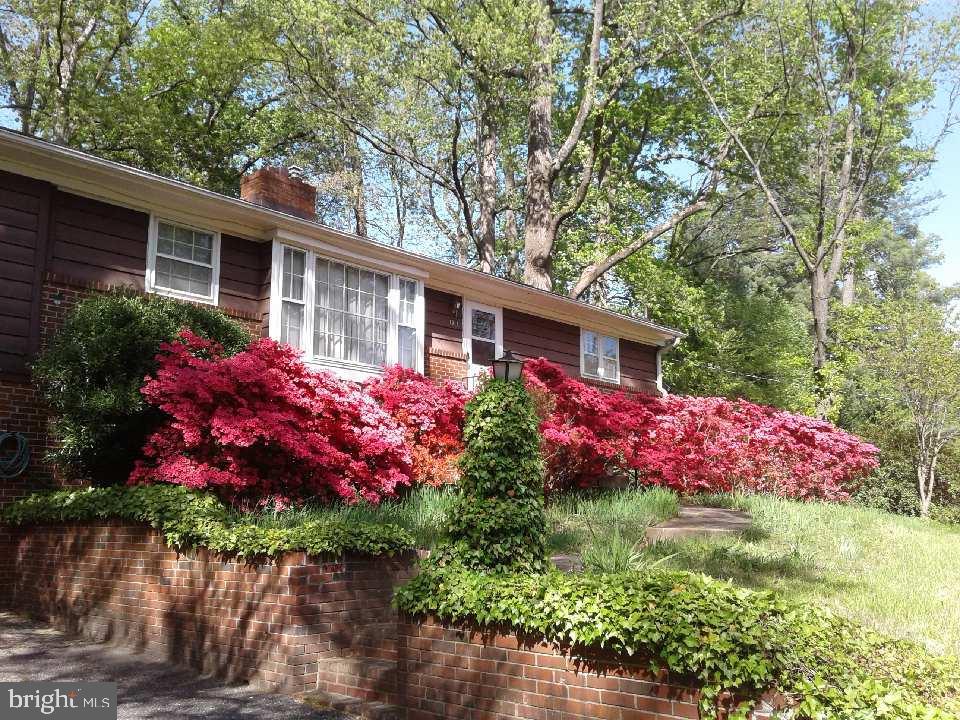 1912 Kimberly Road, Silver Spring, MD 20903 — photo 3