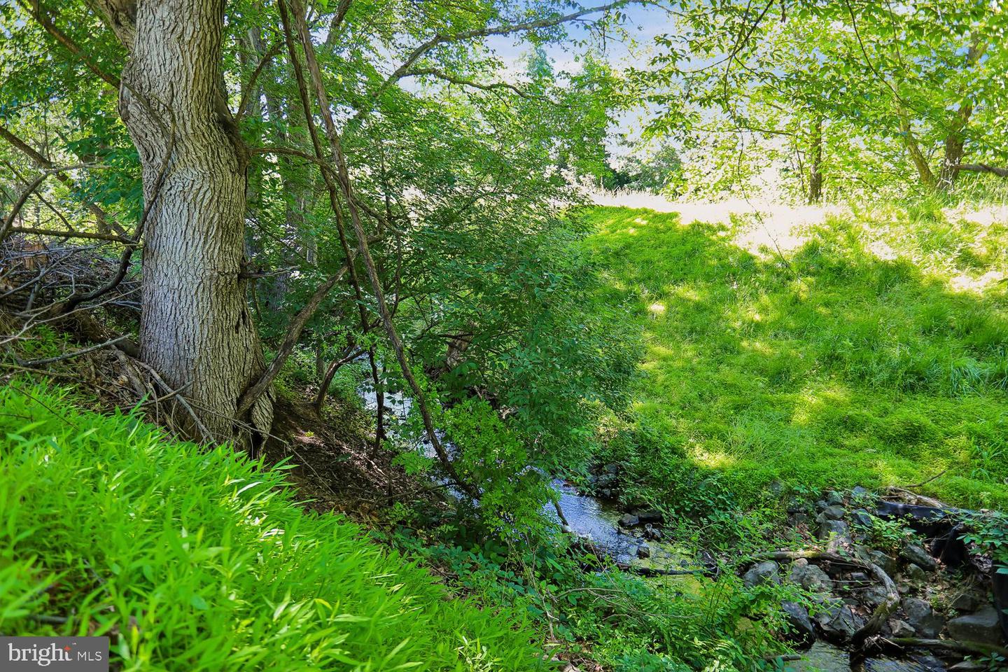 10909 Citreon Ct — photo