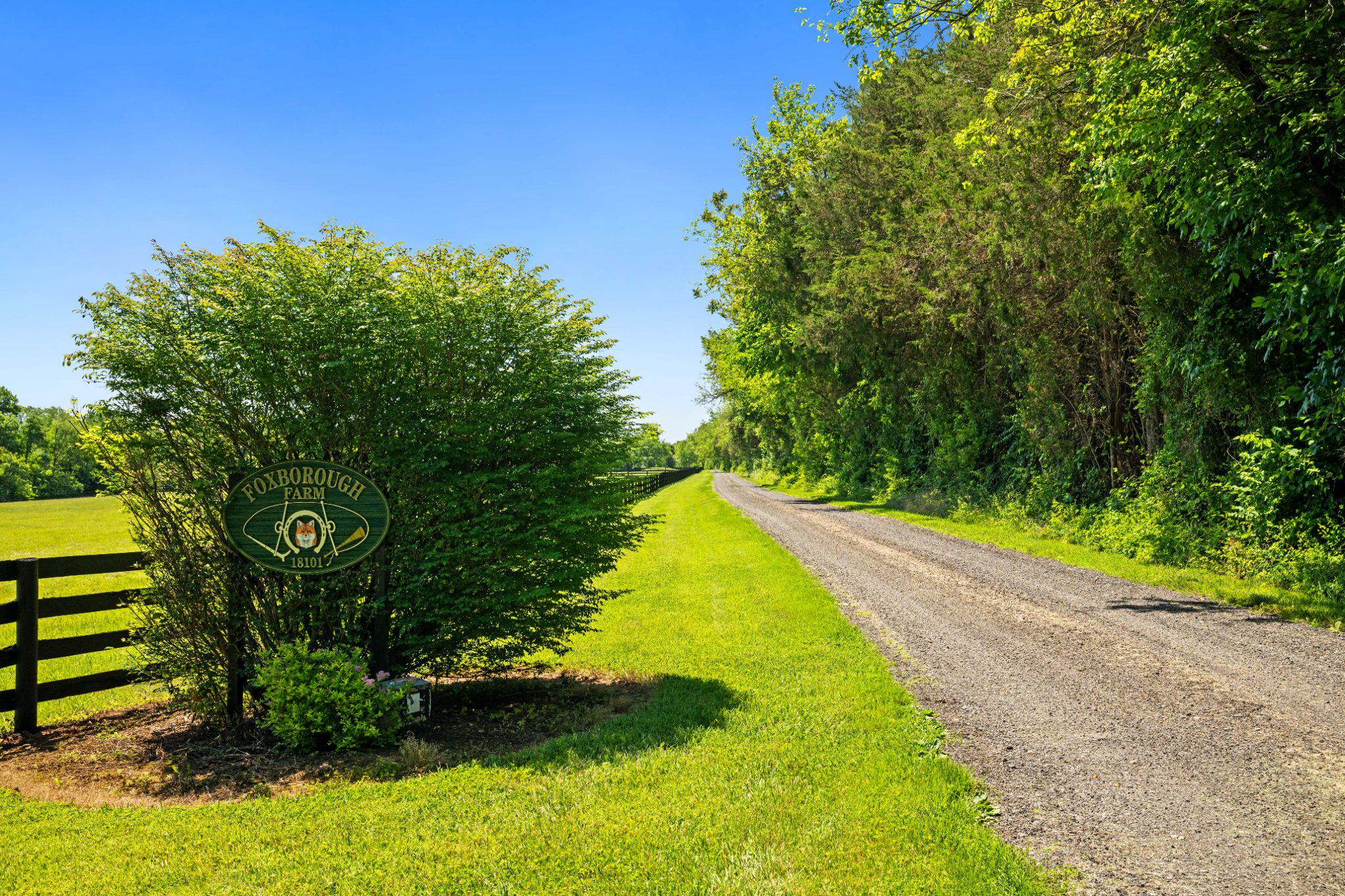 18101 Cattail Road, Poolesville, MD 20837 — photo 2