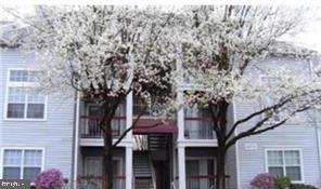 18535 Boysenberry Dr #220 — photo
