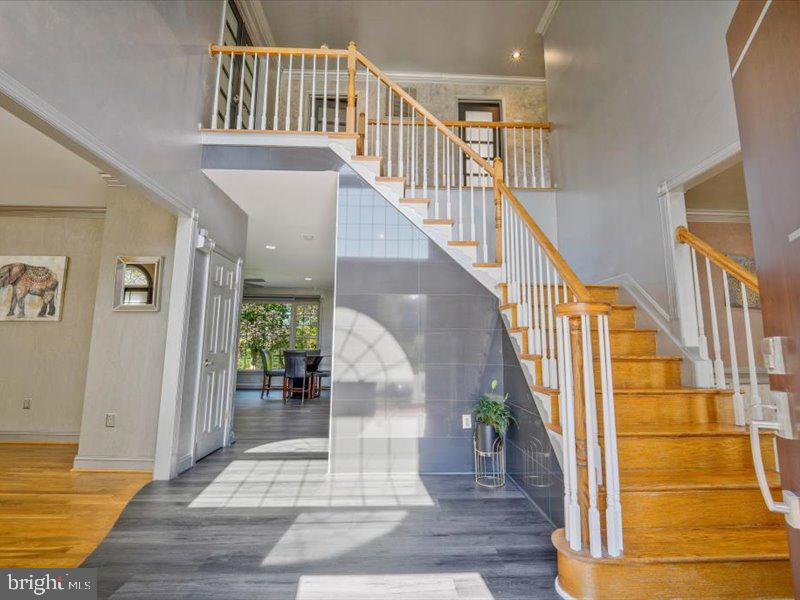 11 Talley — photo