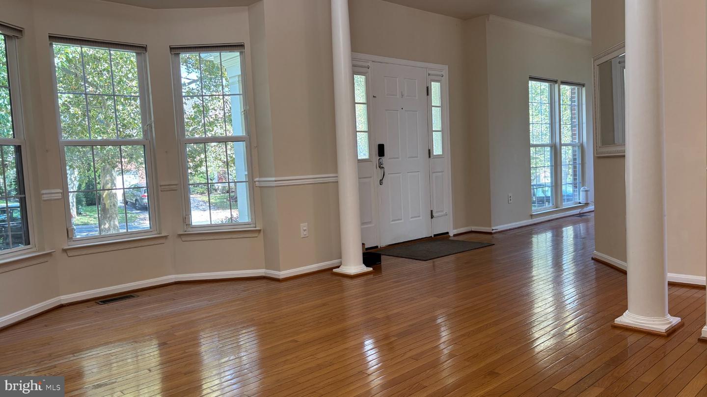 21117 Tall Cedar — photo