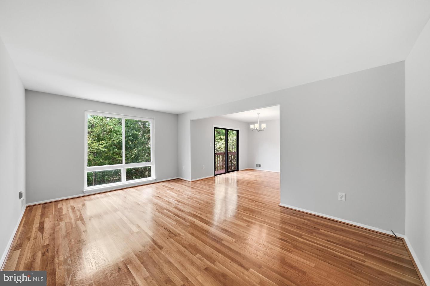 14317 Sturtevant Road, Silver Spring, MD 20905 — photo 3