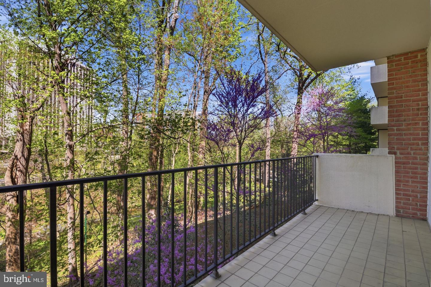 8101 Connecticut Ave #N-304 — photo