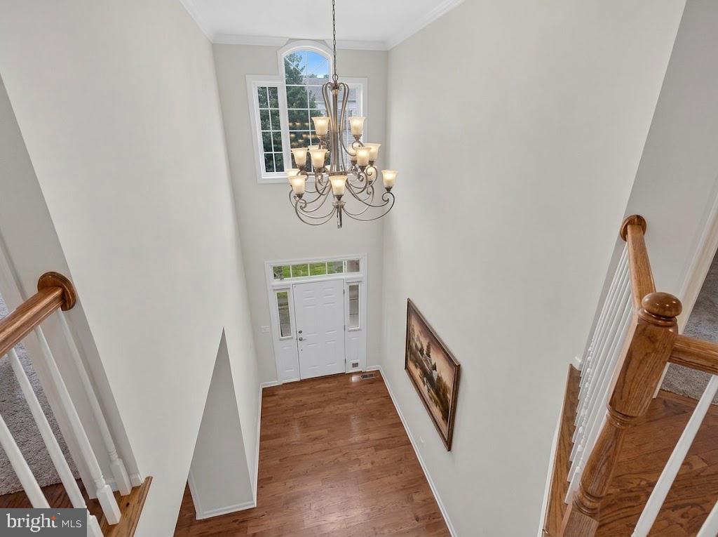 13776 Night Sky Dr — photo