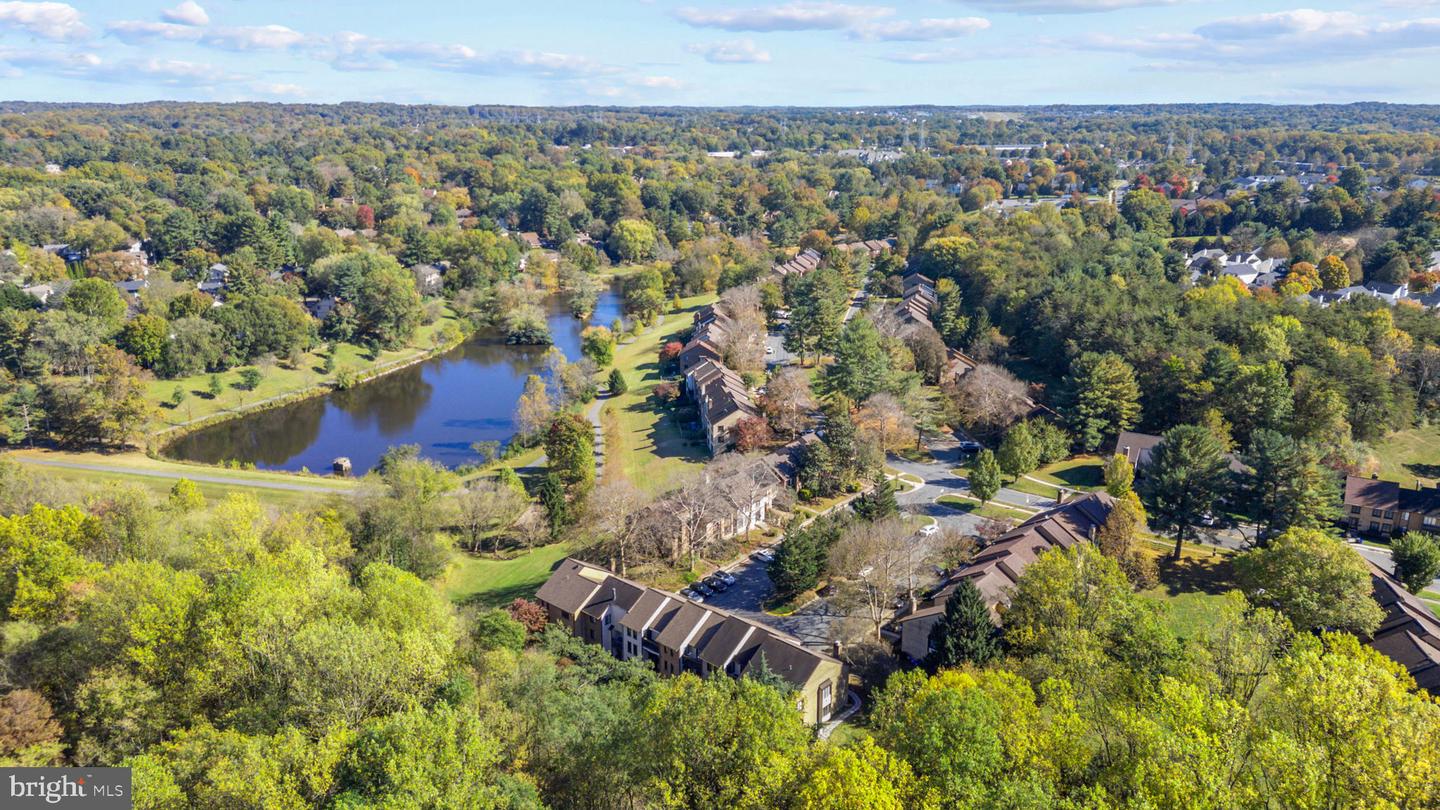 20418 Shadow Oak Ct — photo