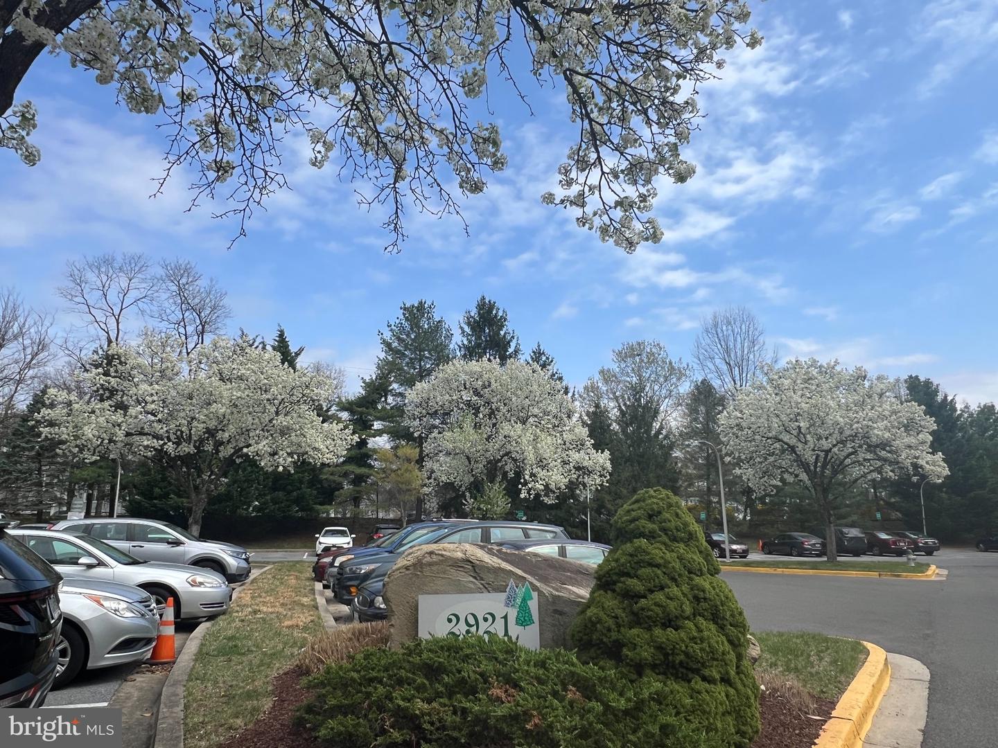 2921 N Leisure World Blvd #1-204 — photo