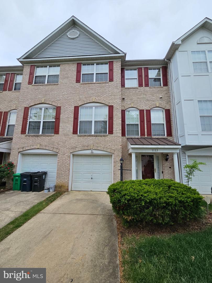 1113 Ring Bill Loop — photo