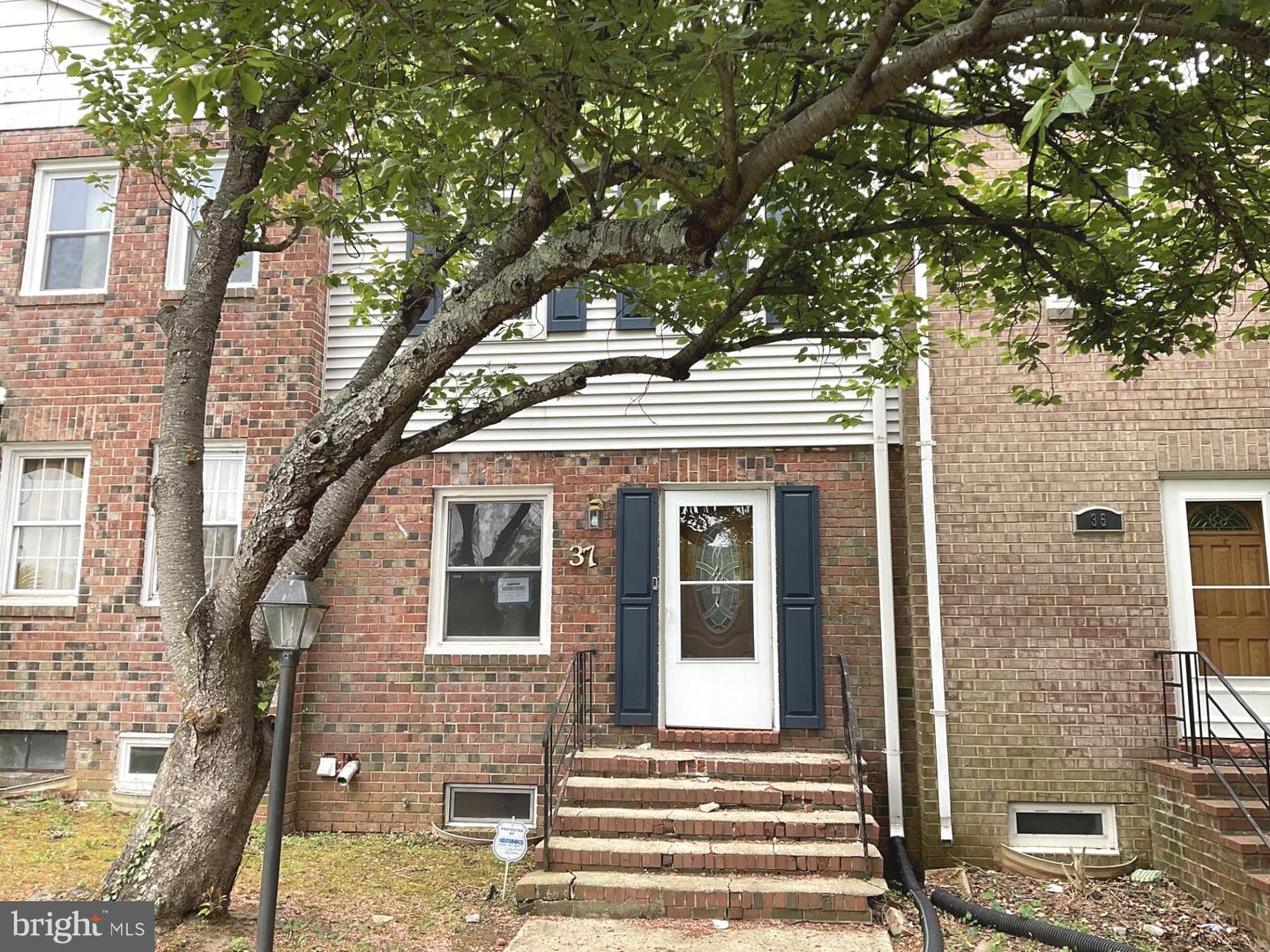 37 Watkins Park Dr #19 — photo