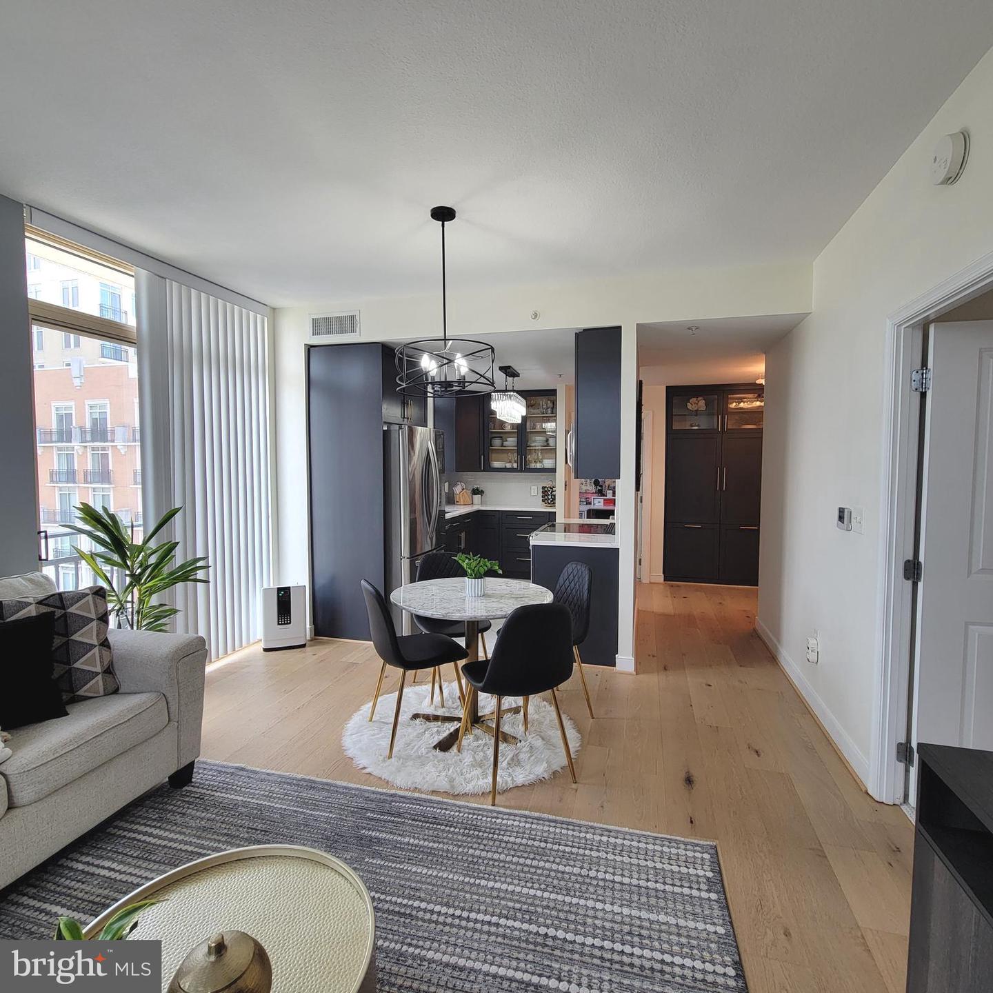 155 Potomac Psge #520 — photo