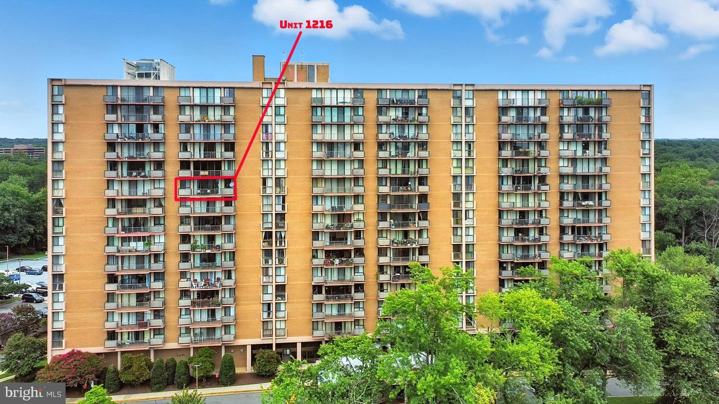6100 Westchester Park Dr #1216 — photo