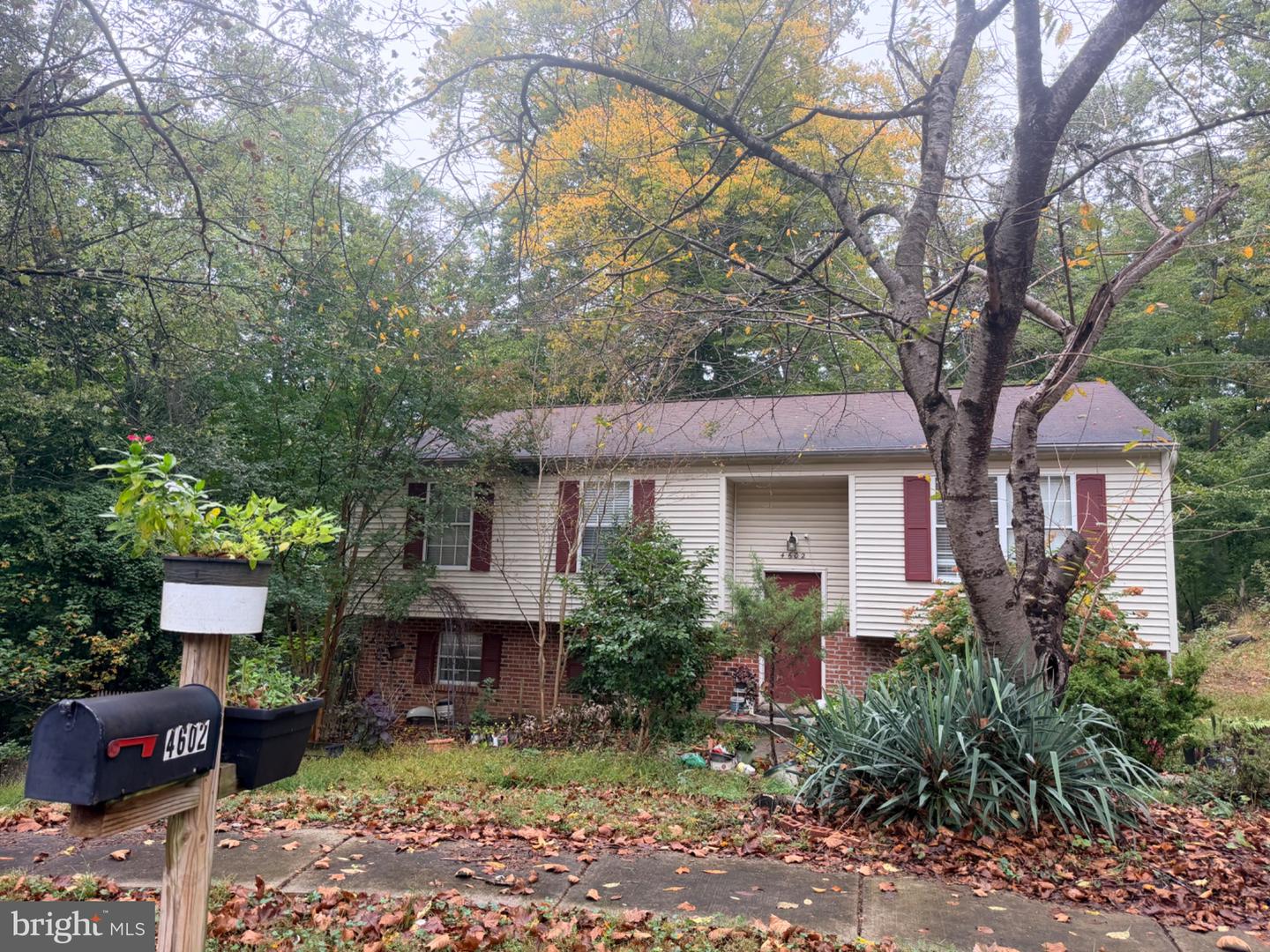 4602 Hidden Pine Ln — photo