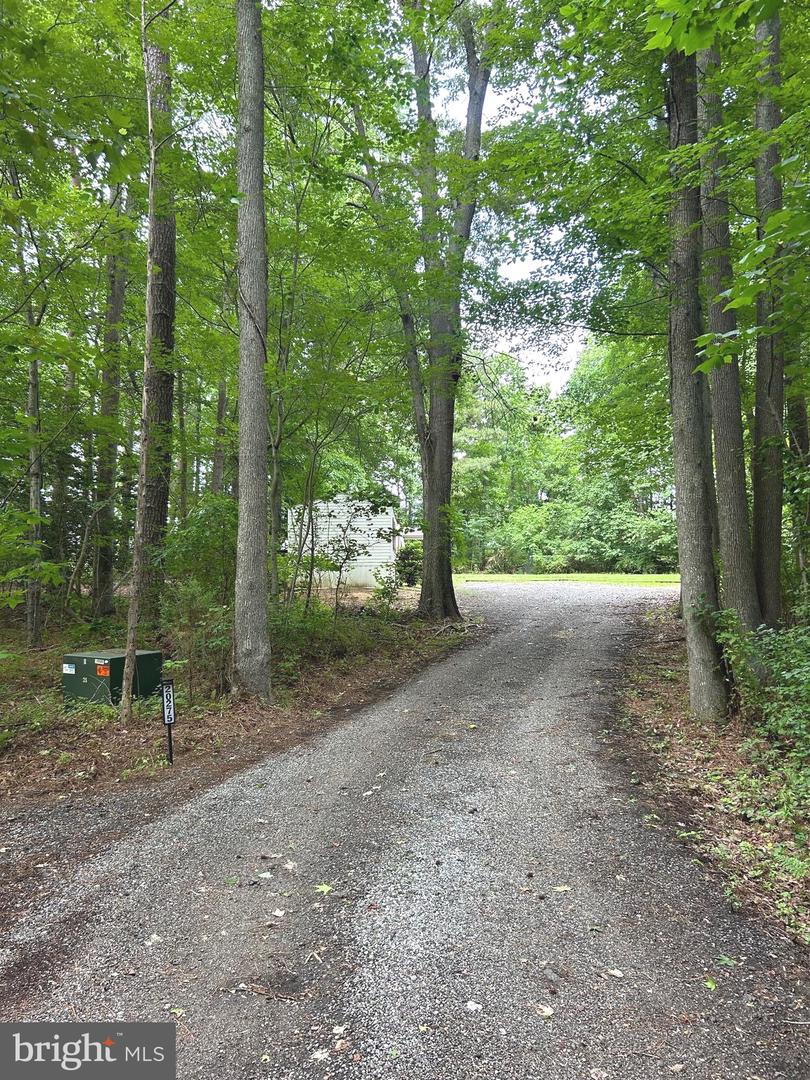 20275 Jackson Rd — photo