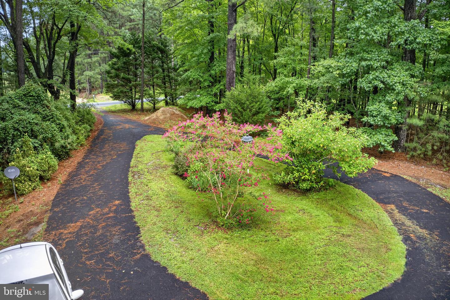 29523 Polks Road, Princess Anne, MD 21853 — photo 3