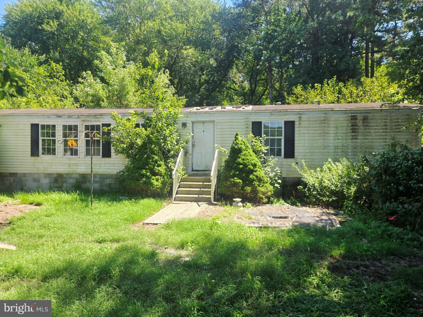 35385 Wango — photo