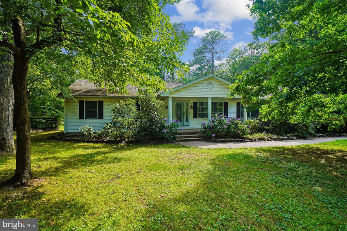 10541 Shady Dr — photo