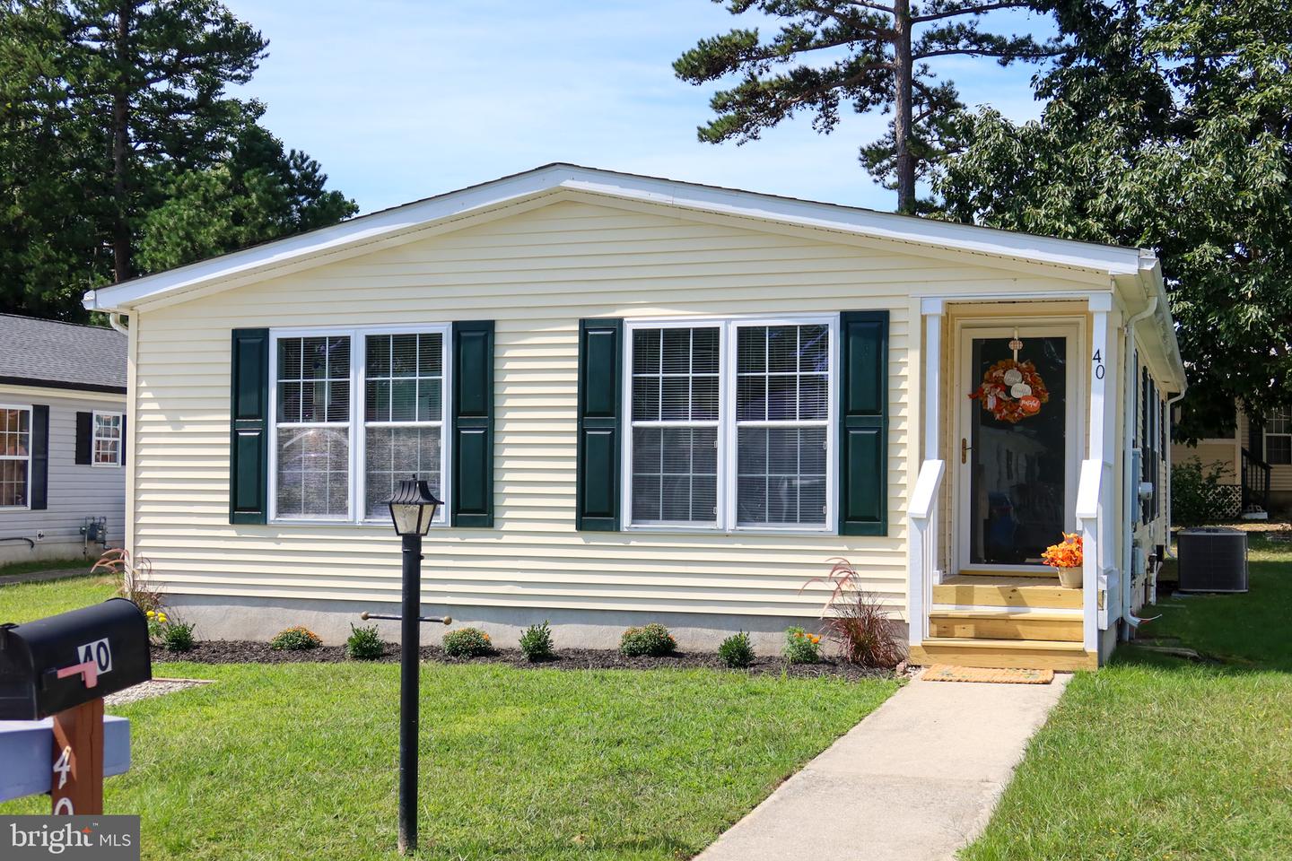 40 Dogwood — photo