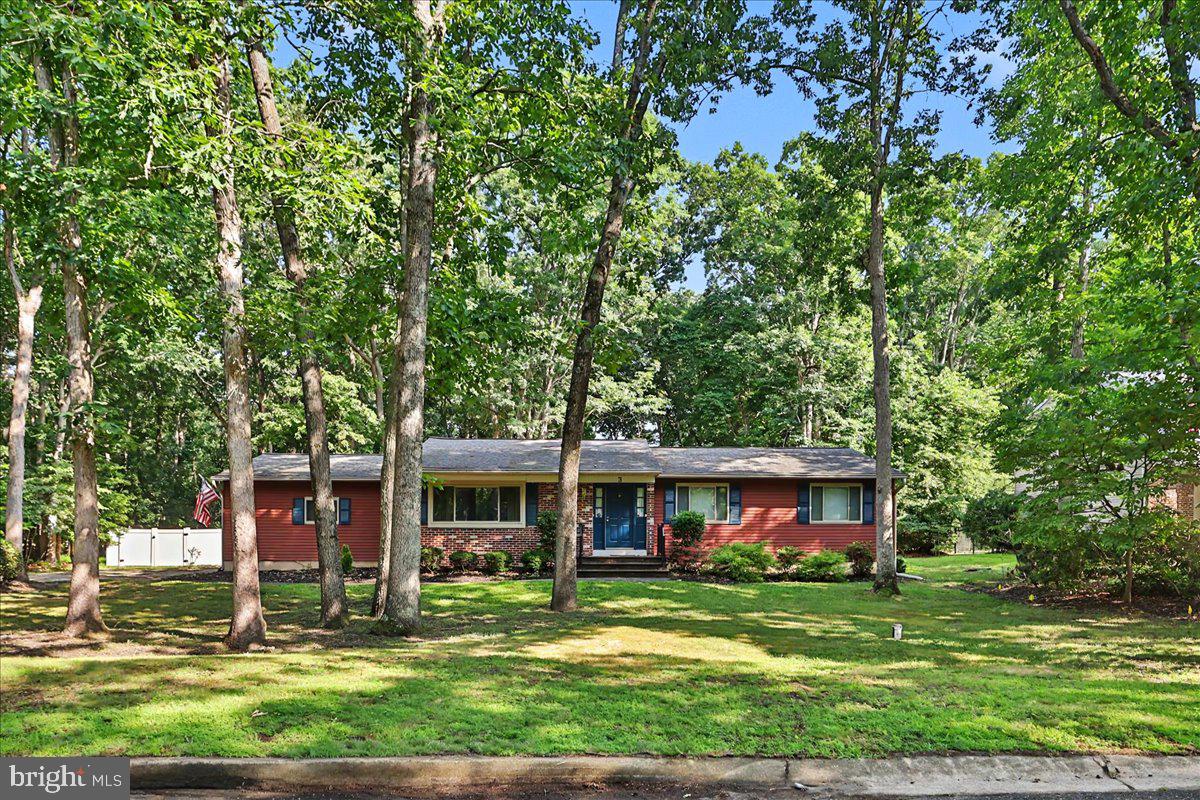 3 Blueberry Road, Shamong, NJ 08088 — photo 2