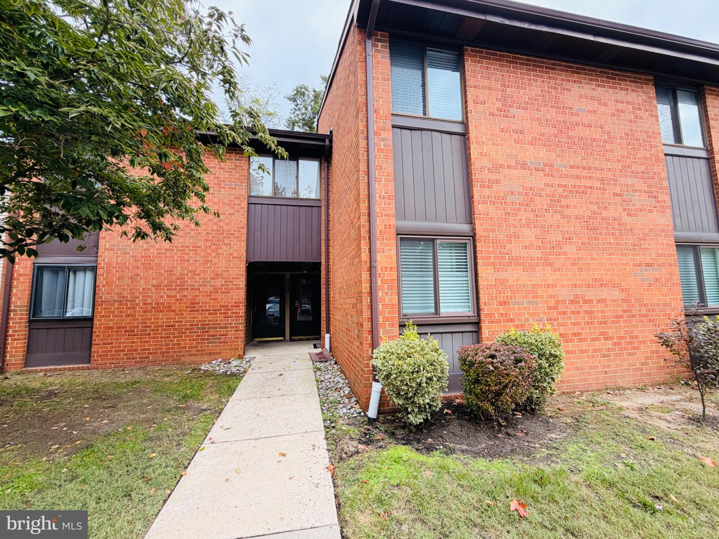 207 Kelly CV — photo