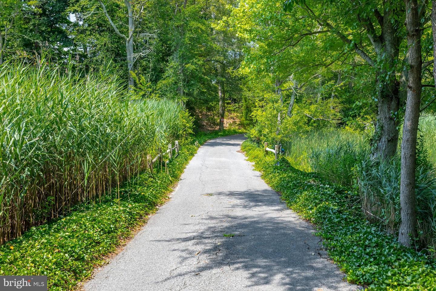 24 Back Neck Road, Fairton, NJ 08320 — photo 2