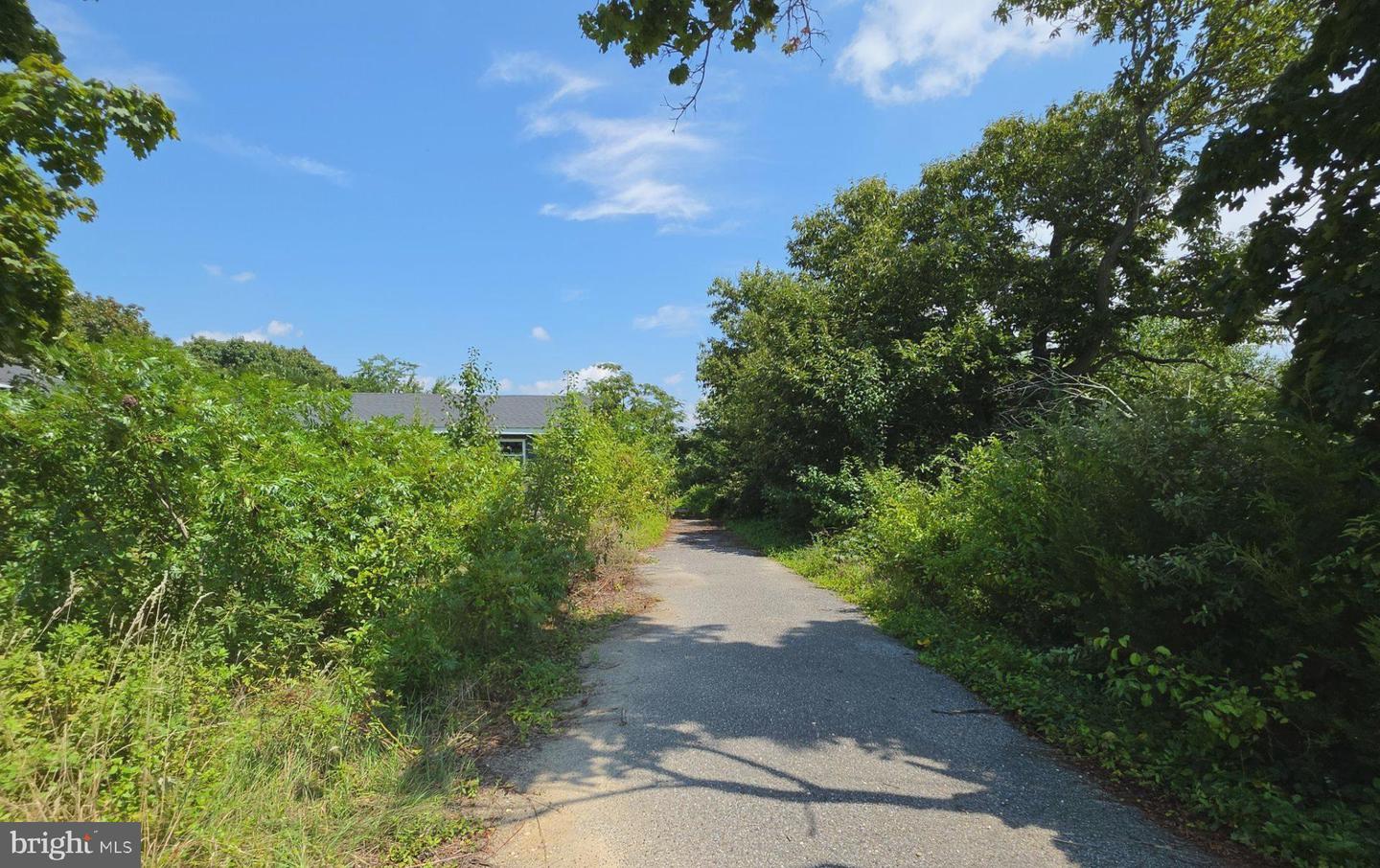 53 New England Cross Road, Bridgeton, NJ 08302 — photo 2
