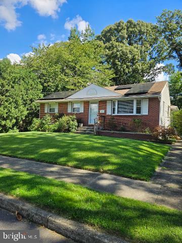 41 Evergreen — photo