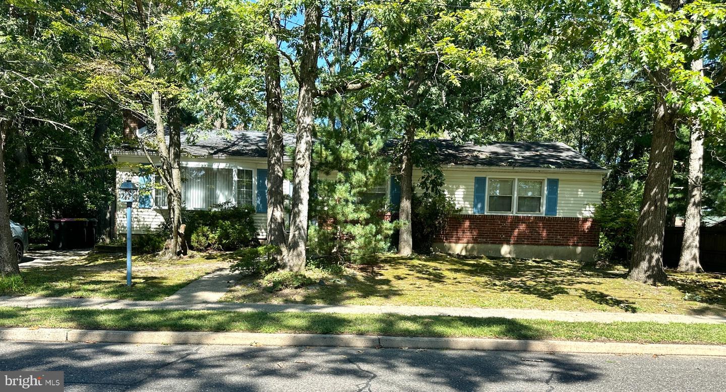 379 Harrison Ave — photo