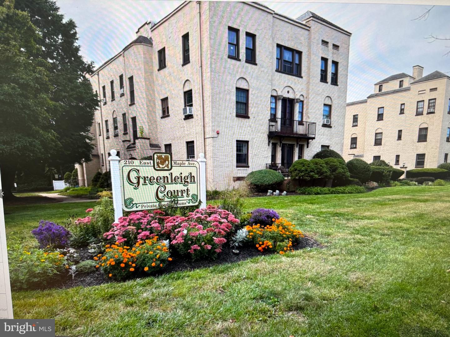 210 E Maple Ave #B6 — photo