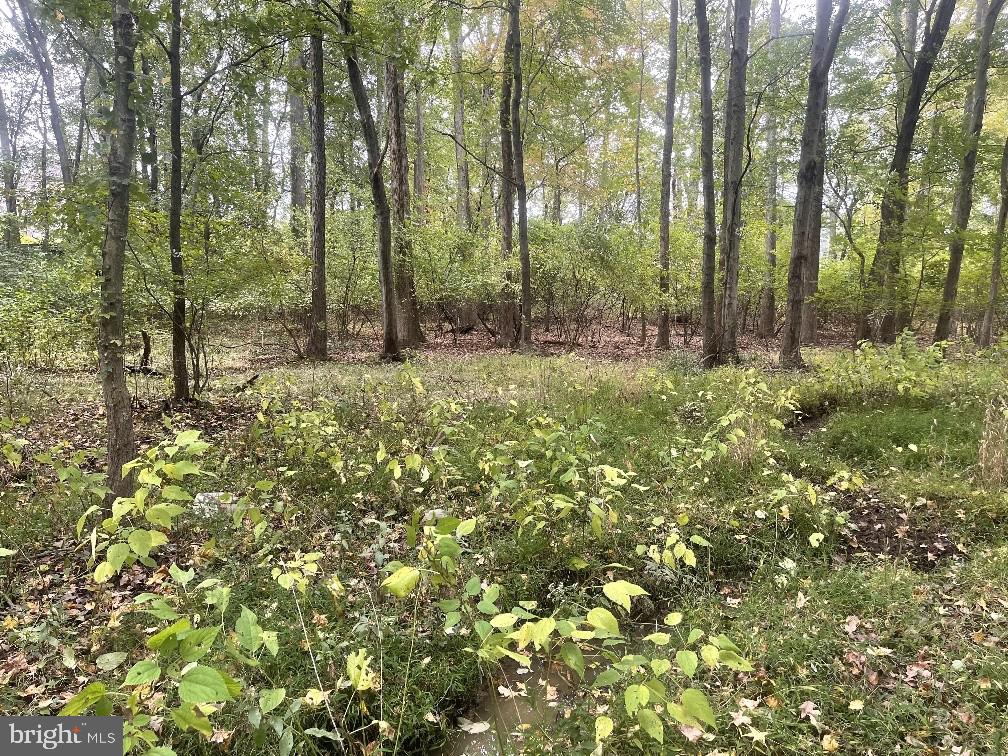 465 Tomlin Station Rd — photo