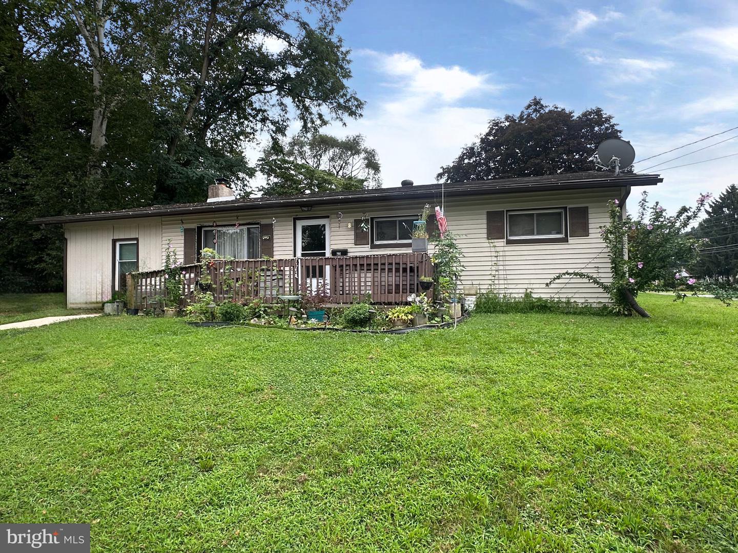 201 Peach — photo