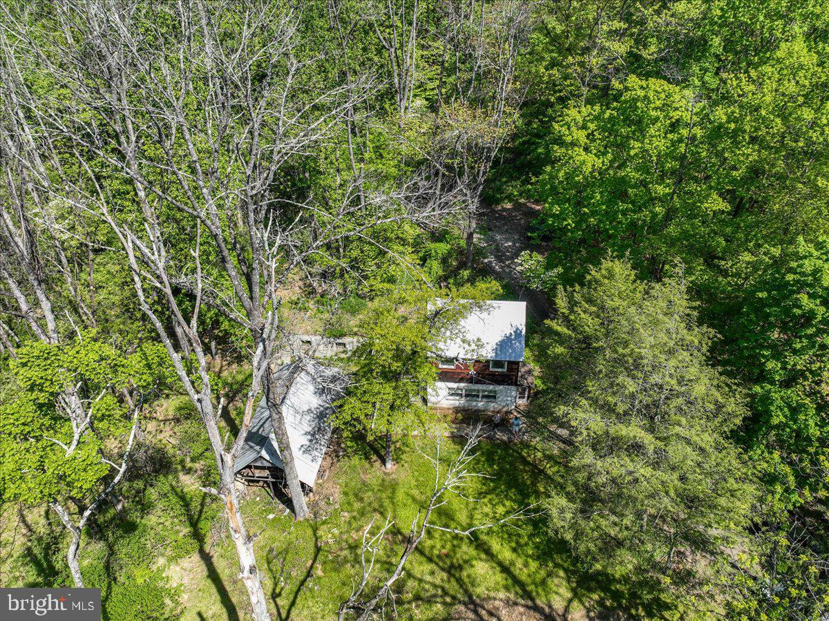 133 Woosamonsa Road, Pennington, NJ 08534 — photo 3