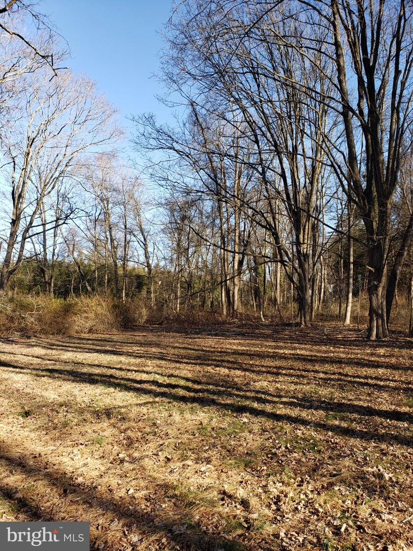 600 Mercer Road, Princeton, NJ 08540 — photo 2