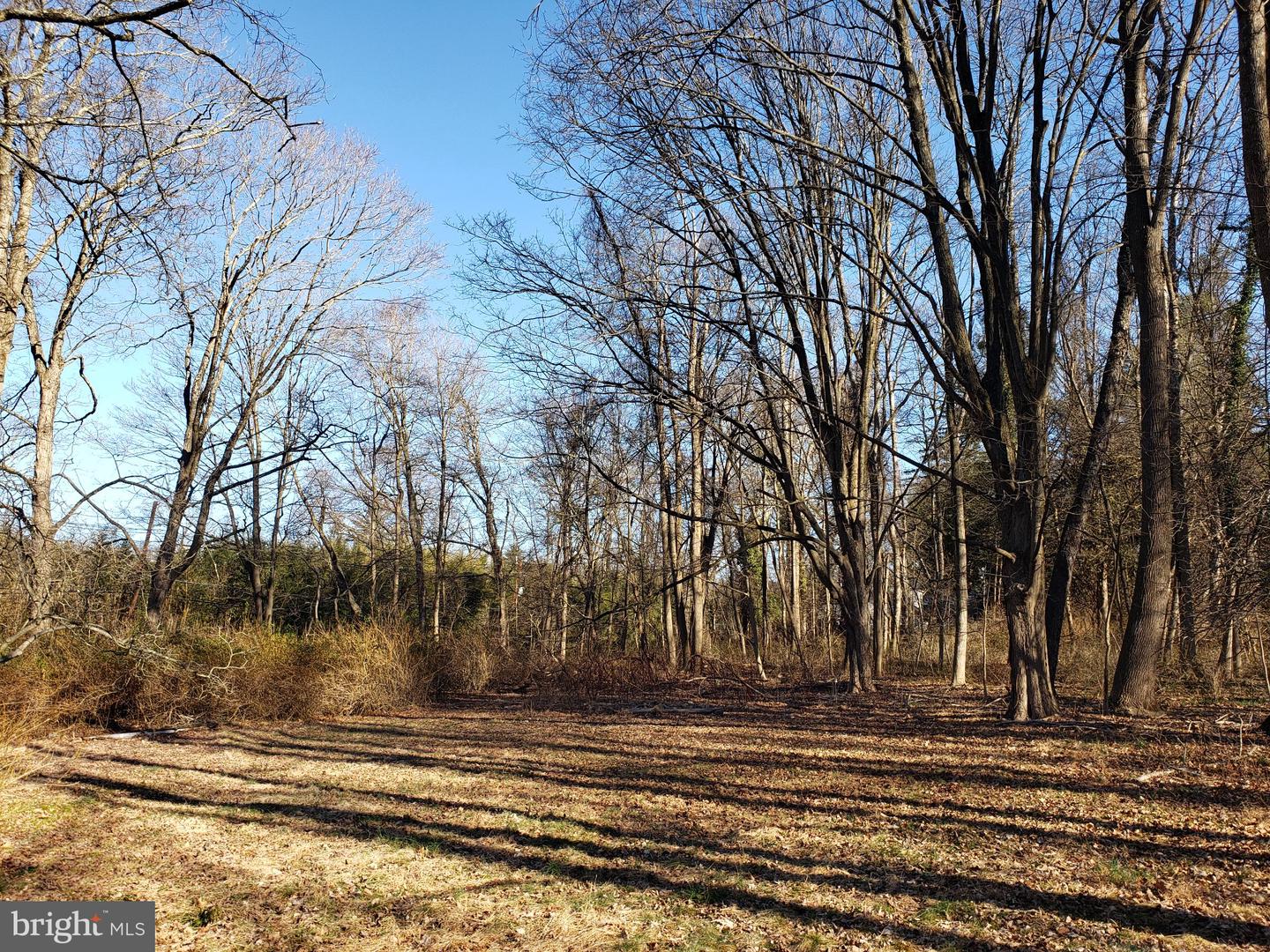 600 Mercer Road, Princeton, NJ 08540 — photo 3