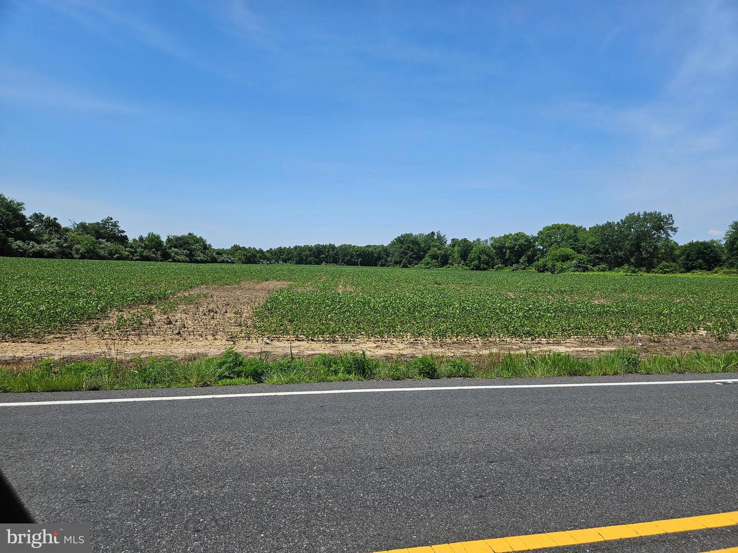 1305--1325 US Route 130 — photo