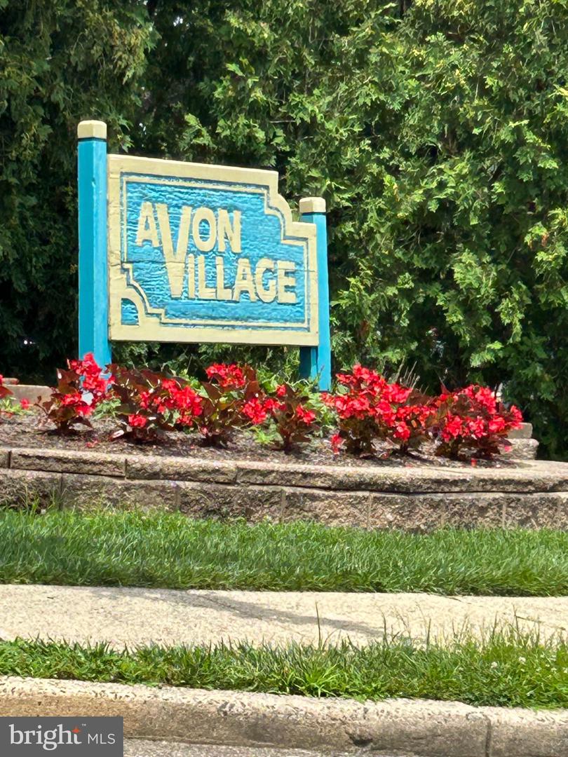 8 Avon Dr #Z — photo