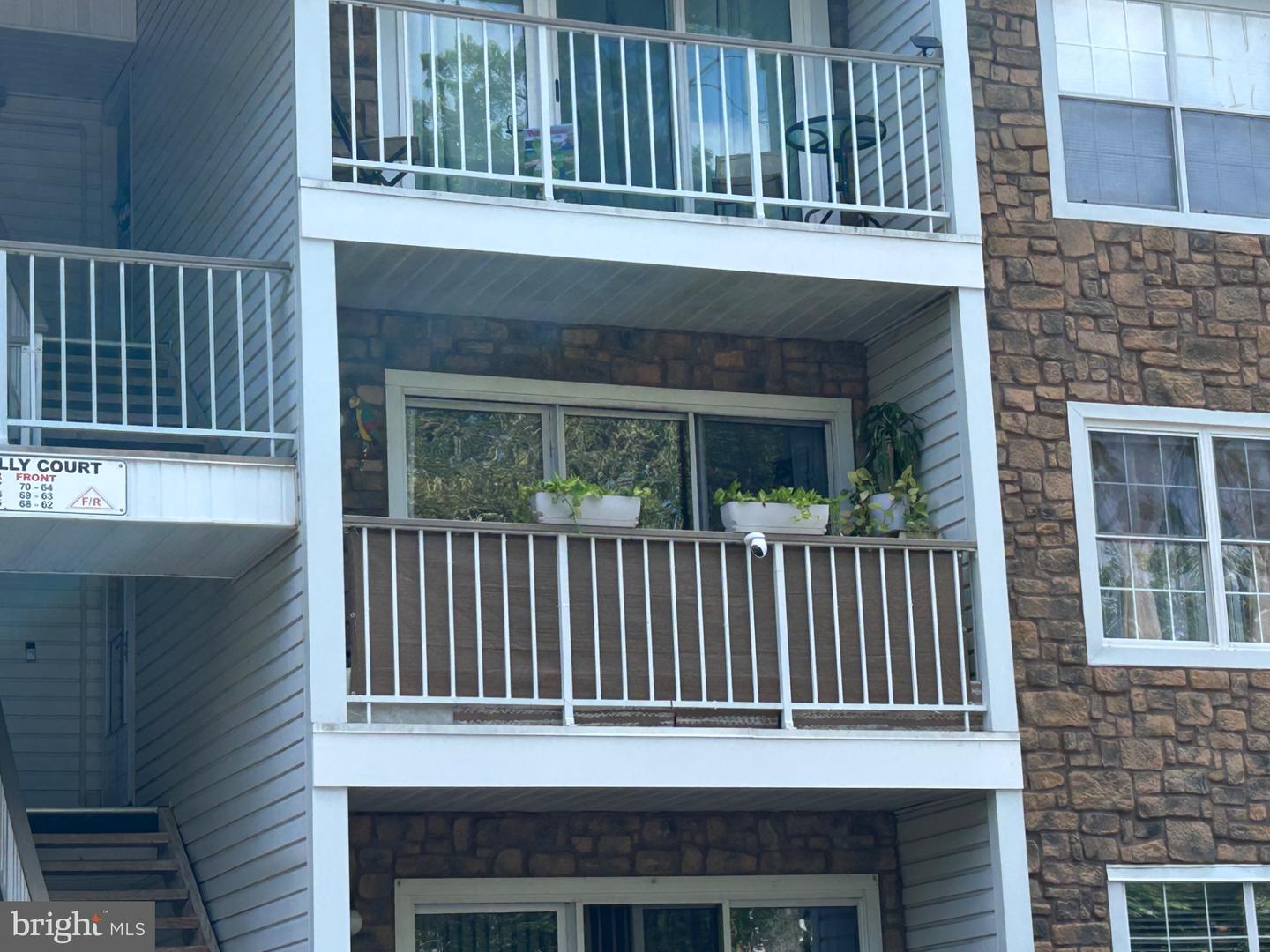 63 Holly — photo