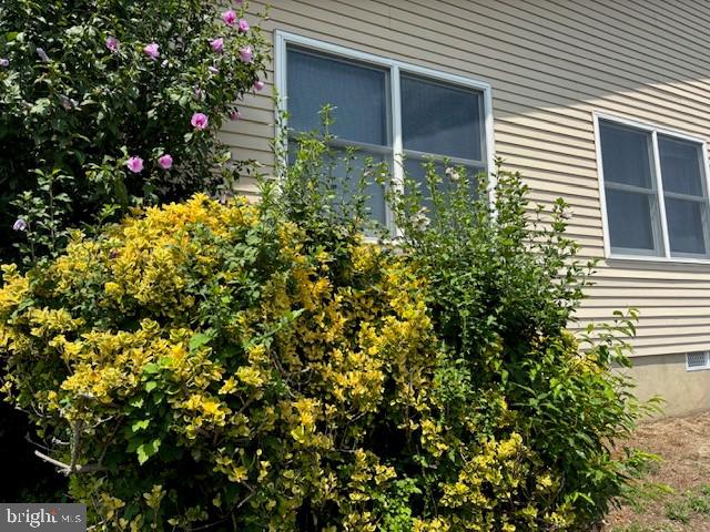 55 Sycamore Road, Manahawkin, NJ 08050 — photo 3