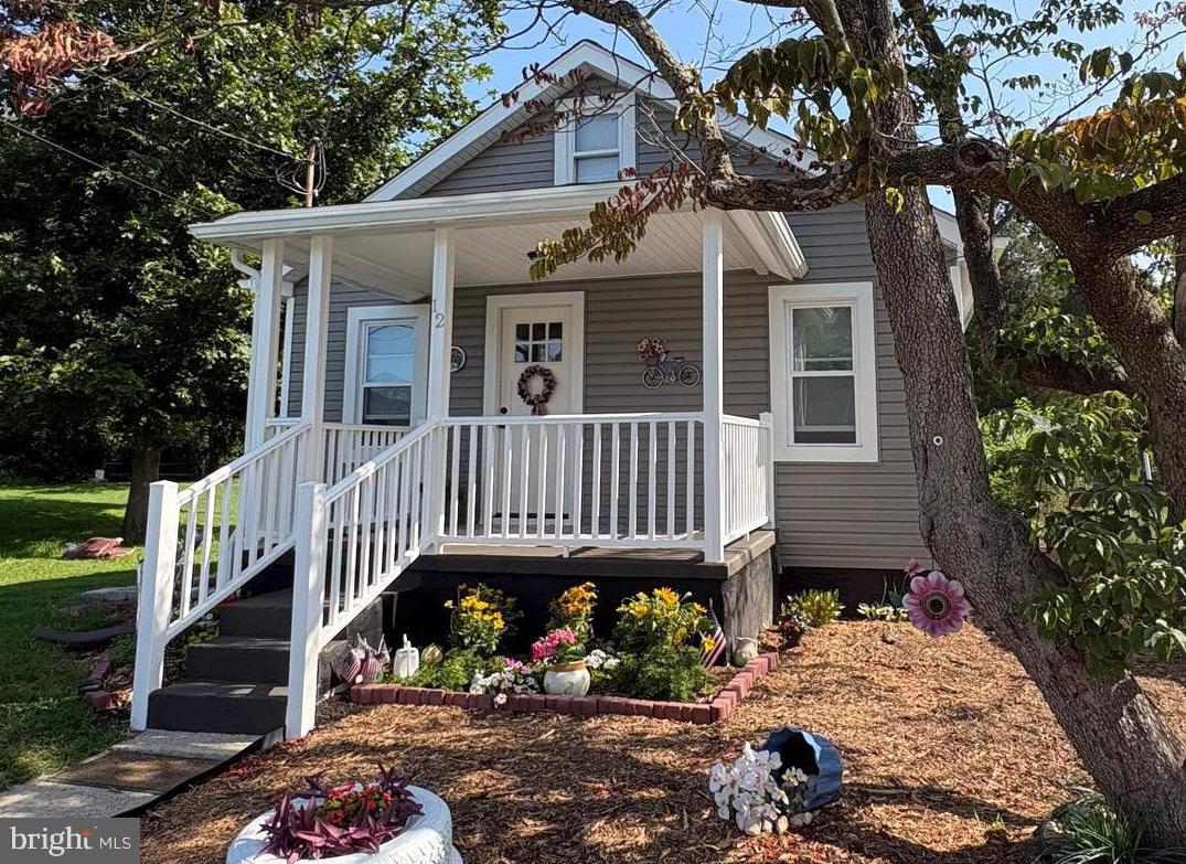 12 Chester Ave — photo