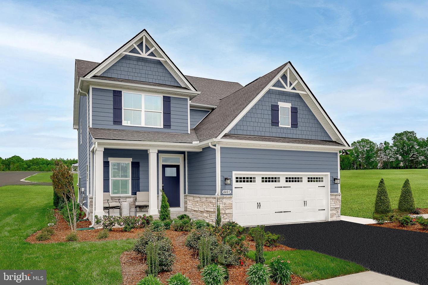 5-Ba Martingale Ct — photo