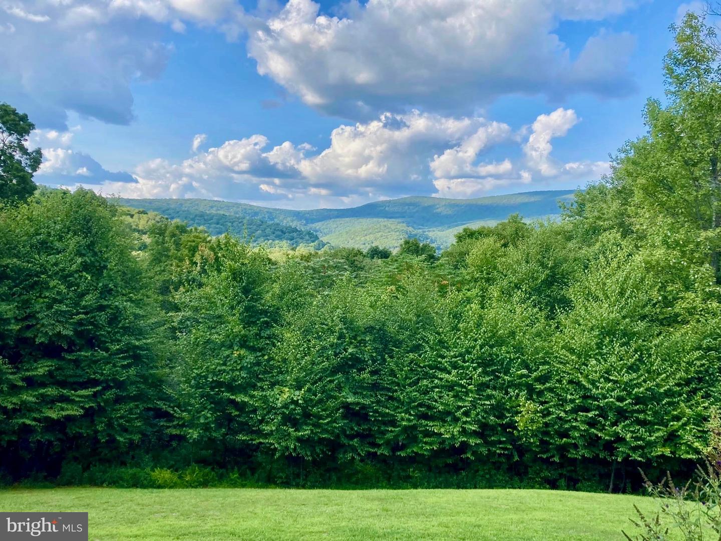 295 Shaffer Road, Imler, PA 16655 — photo 2