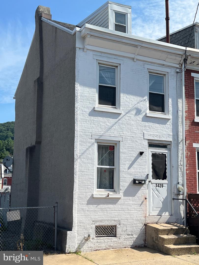 1429 Cotton — photo