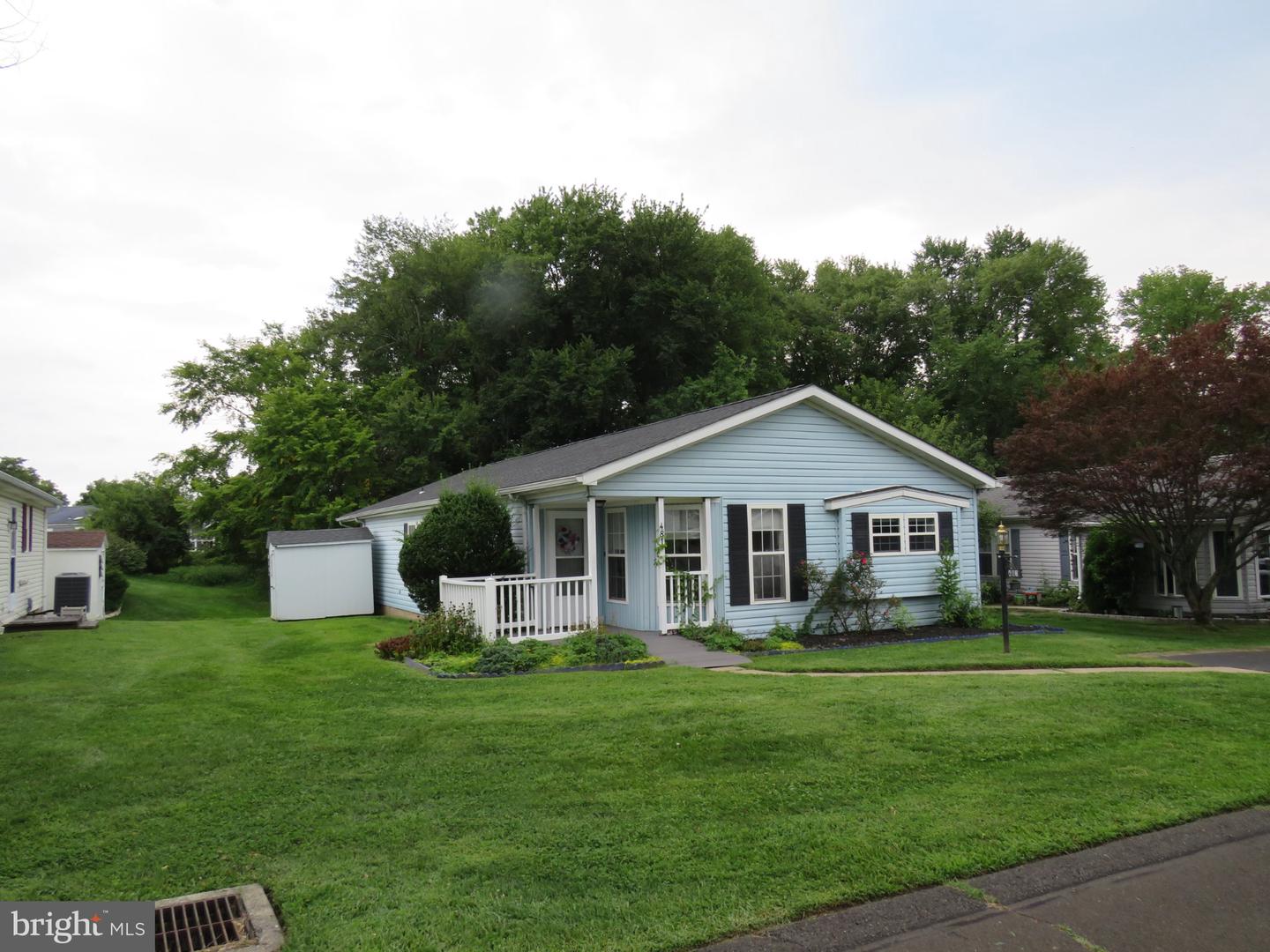 481 Goldenrod Xing W — photo
