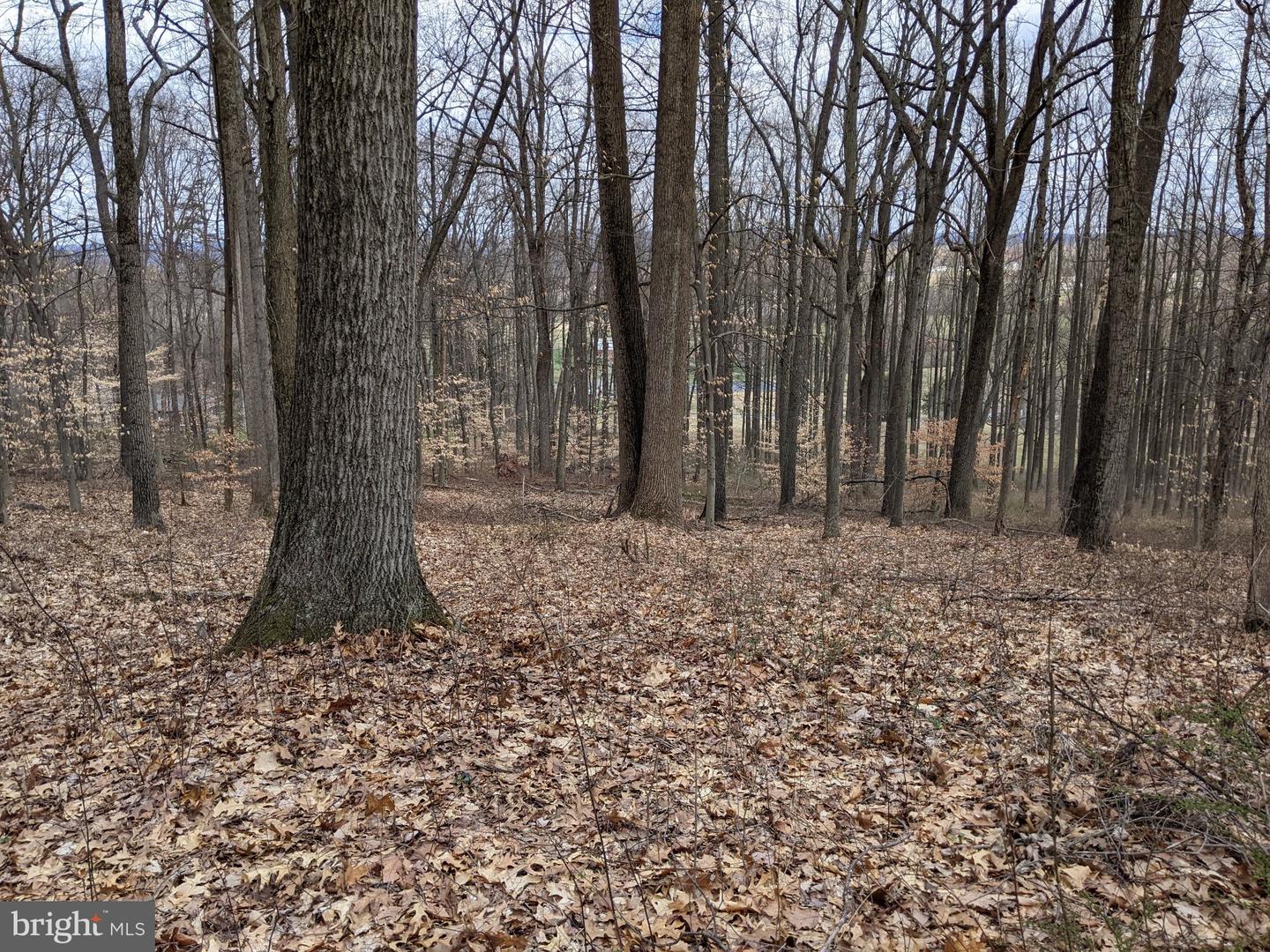1798 Cold Springs Park — photo