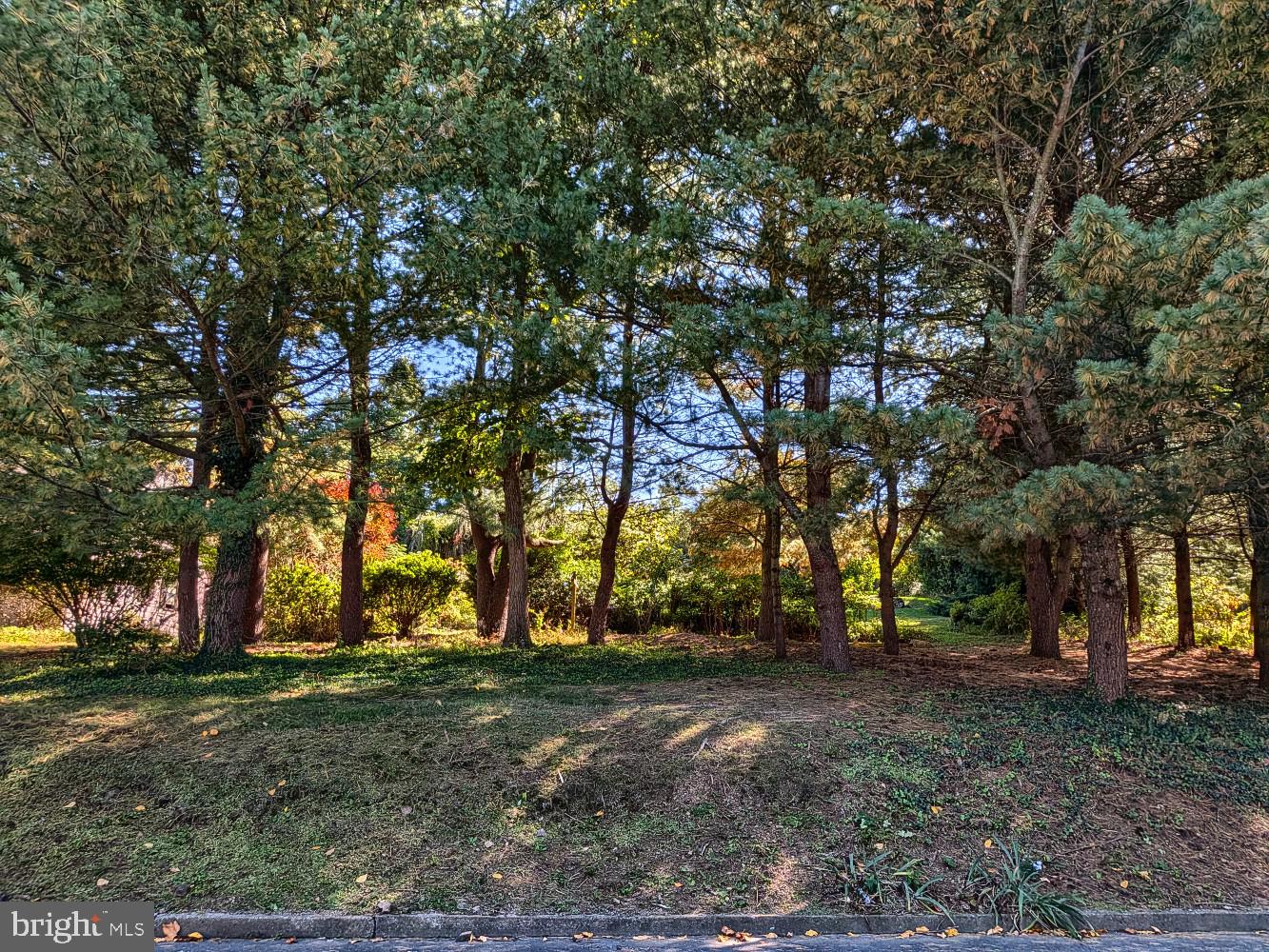 1115 Whitehall Dr — photo