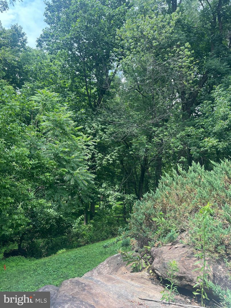 56 Bayberry Ct — photo