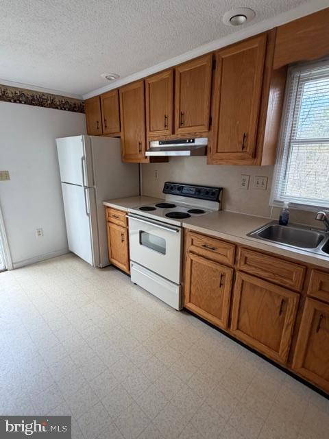 9012 RABBIT ROAD N, GREENCASTLE PA 17225 — photo 3