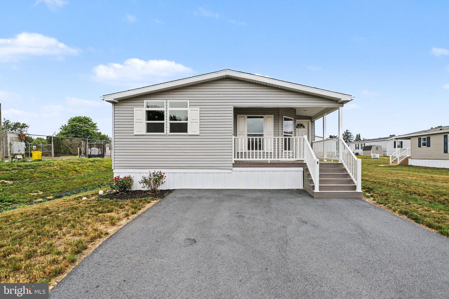 5 Evergreen — photo