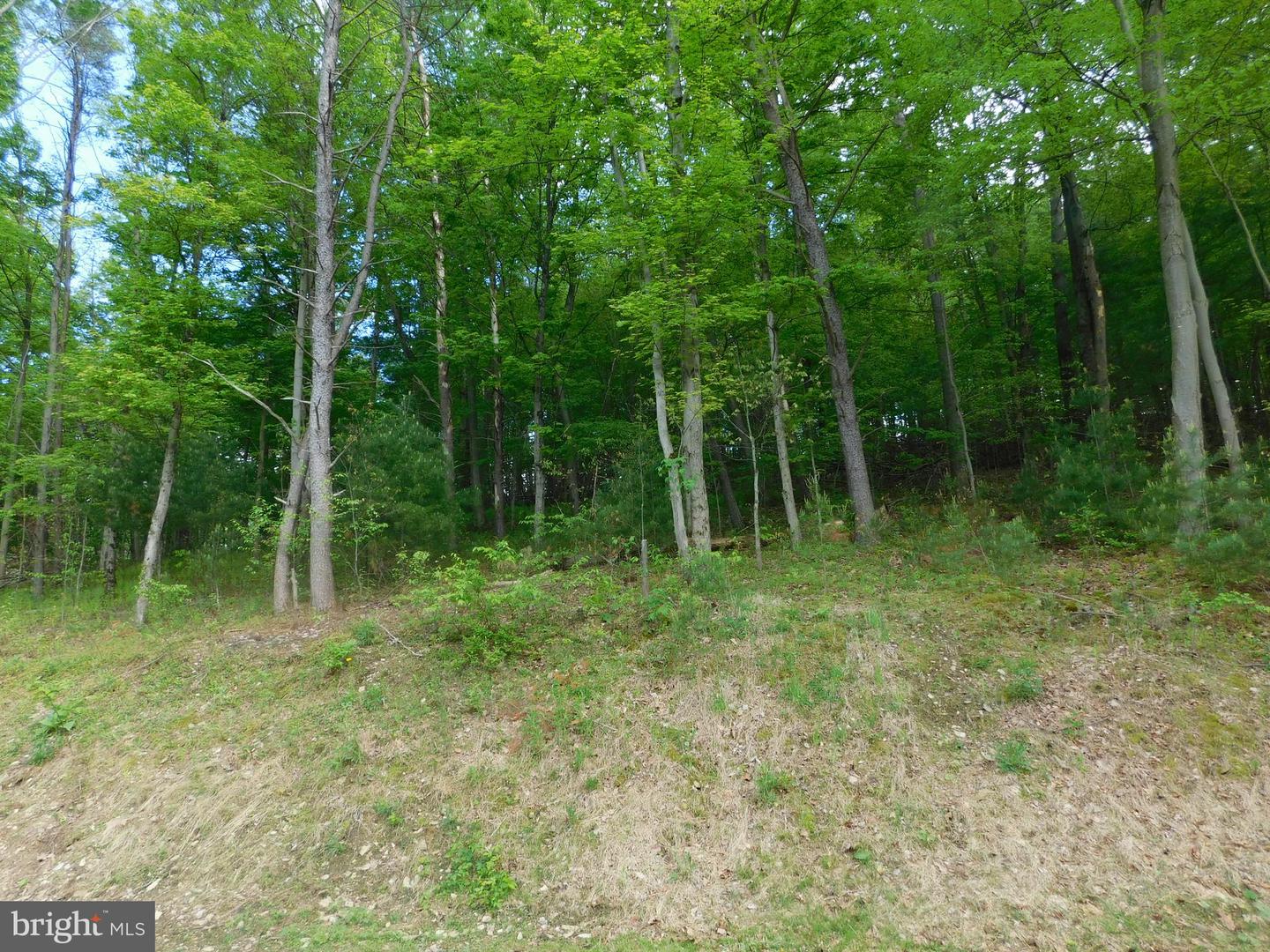 700 Whiskey Road, McClure, PA 17841 — photo 3