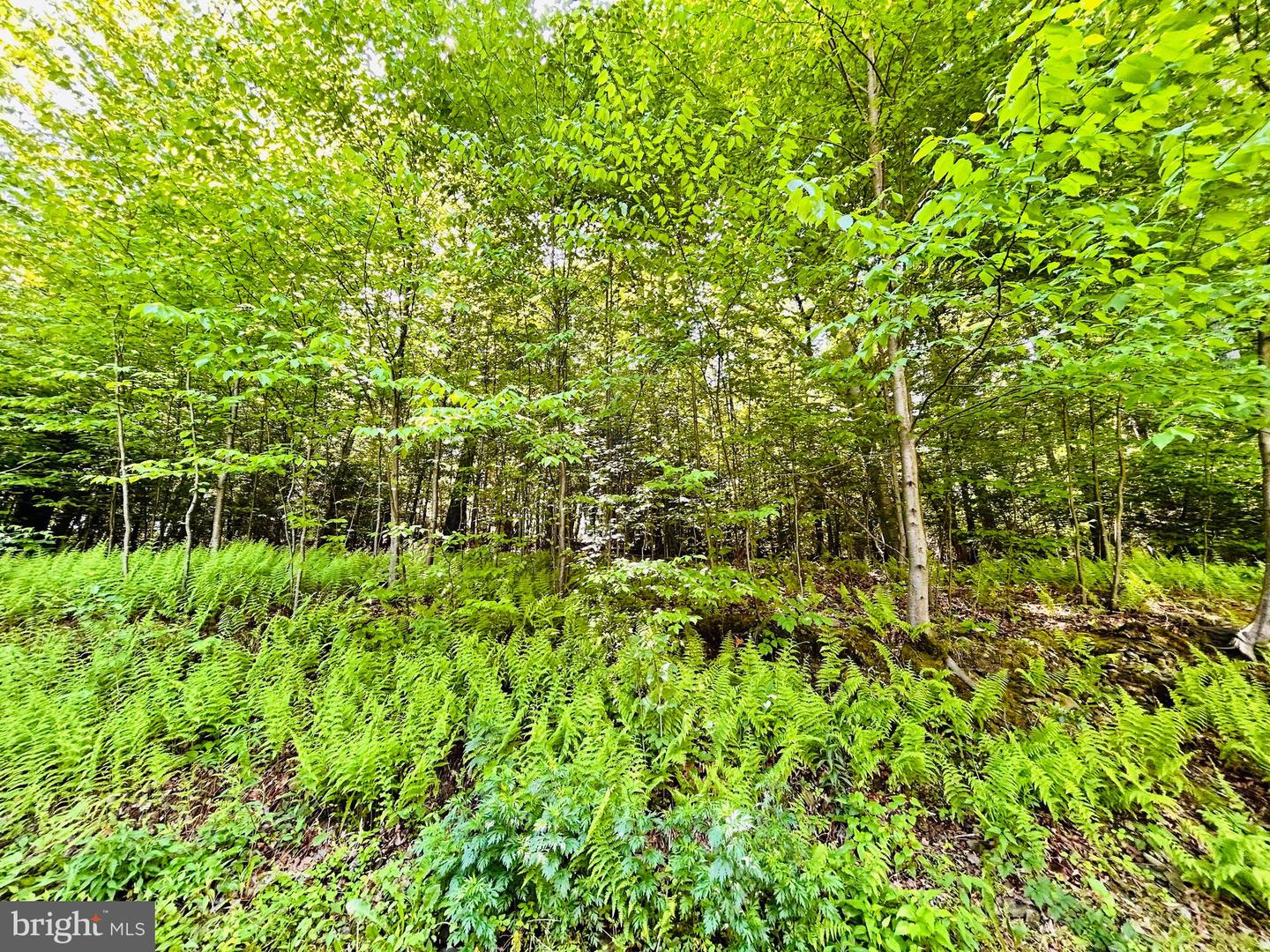396 WHISKEY ROAD, MCCLURE PA 17841 — photo 3